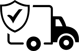 Free Express Delivery